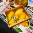 Bild von Motherland's Taste Fresh Mangoes (Sindhri) c.a. 3 or 4 Pcs (1kg to 1.2kg)  